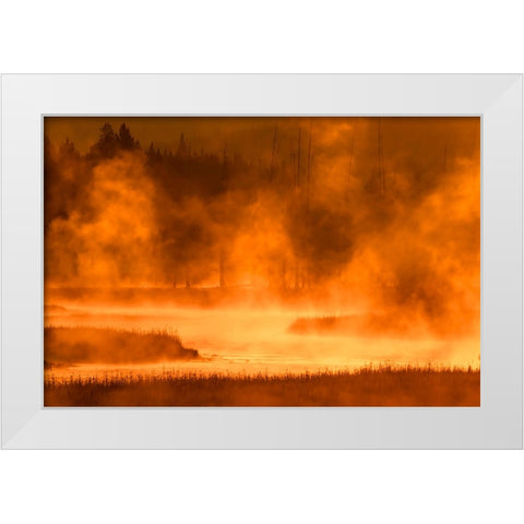 Madison River at sunrise-Yellowstone National Park-Wyoming White Modern Wood Framed Art Print by Jones, Adam