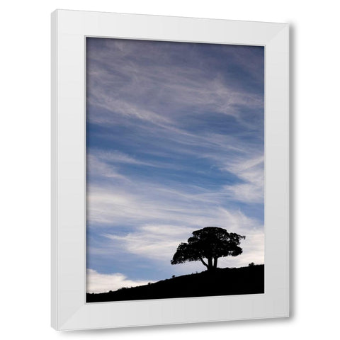 Single tree silhouetted at sunrise-Yellowstone National Park-Wyoming White Modern Wood Framed Art Print by Jones, Adam