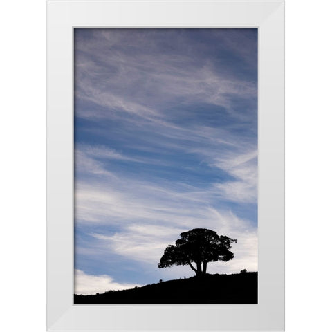 Single tree silhouetted at sunrise-Yellowstone National Park-Wyoming White Modern Wood Framed Art Print by Jones, Adam