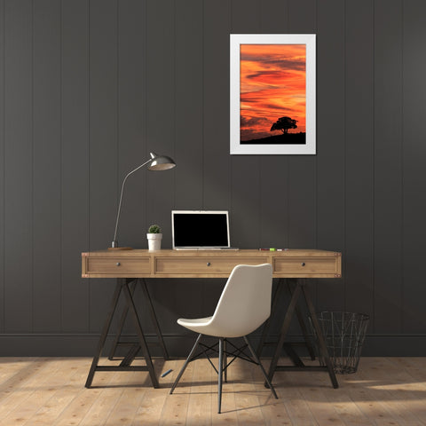Single tree silhouetted at sunrise-Yellowstone National Park-Wyoming White Modern Wood Framed Art Print by Jones, Adam