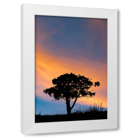Single tree silhouetted at sunrise-Yellowstone National Park-Wyoming White Modern Wood Framed Art Print by Jones, Adam