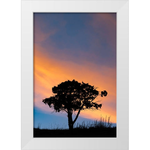 Single tree silhouetted at sunrise-Yellowstone National Park-Wyoming White Modern Wood Framed Art Print by Jones, Adam