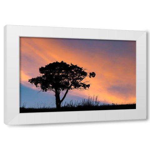Single tree silhouetted at sunrise-Yellowstone National Park-Wyoming White Modern Wood Framed Art Print by Jones, Adam