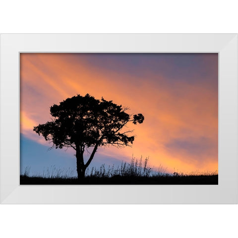 Single tree silhouetted at sunrise-Yellowstone National Park-Wyoming White Modern Wood Framed Art Print by Jones, Adam