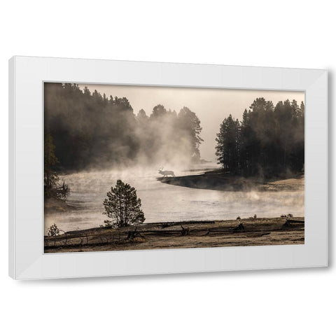 Morning mist on Yellowstone River-Yellowstone National Park-Wyoming White Modern Wood Framed Art Print by Jones, Adam
