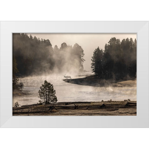 Morning mist on Yellowstone River-Yellowstone National Park-Wyoming White Modern Wood Framed Art Print by Jones, Adam