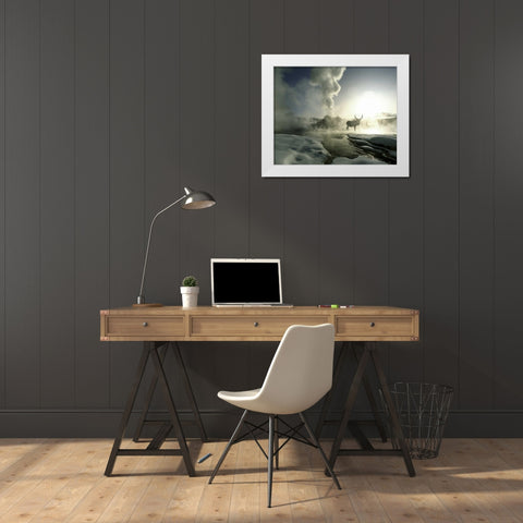 WY, Yellowstone, Castle Geyser Silhouette of elk White Modern Wood Framed Art Print by Zuckerman, Jim