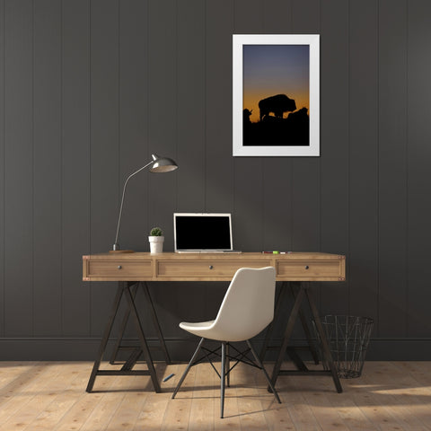 WY, Yellowstone Bson silhouetted at sunset White Modern Wood Framed Art Print by Grall, Don