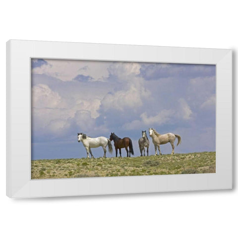 WY, Carbon Co, Wild horses and building clouds White Modern Wood Framed Art Print by Illg, Cathy and Gordon