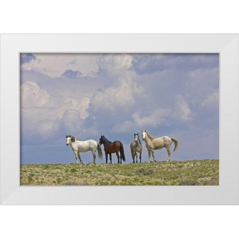 WY, Carbon Co, Wild horses and building clouds White Modern Wood Framed Art Print by Illg, Cathy and Gordon