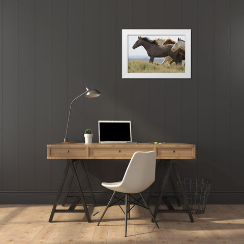 USA, Wyoming, Carbon County Wild horses running White Modern Wood Framed Art Print by Illg, Cathy and Gordon