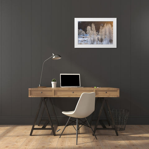 Wyoming, Grand Teton NP Frosted trees and elk White Modern Wood Framed Art Print by Illg, Cathy and Gordon