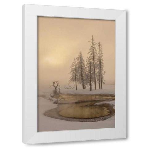 USA, Wyoming, Yellowstone NP Foggy winter scenic White Modern Wood Framed Art Print by Illg, Cathy and Gordon