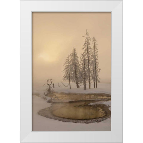 USA, Wyoming, Yellowstone NP Foggy winter scenic White Modern Wood Framed Art Print by Illg, Cathy and Gordon
