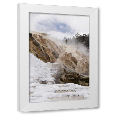 Wyoming, Yellowstone Mammoth Hot Springs scenic White Modern Wood Framed Art Print by Bush, Marie