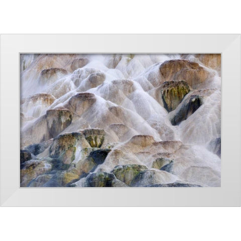Wyoming, Yellowstone NP Palette Spring waterfall White Modern Wood Framed Art Print by Bush, Marie