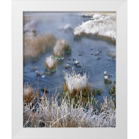 Wyoming, Yellowstone NP Frost along White Creek White Modern Wood Framed Art Print by Terrill, Steve