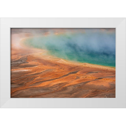 Wyoming-Yellowstone National Park Grand Prismatic Spring scenic White Modern Wood Framed Art Print by Jaynes Gallery