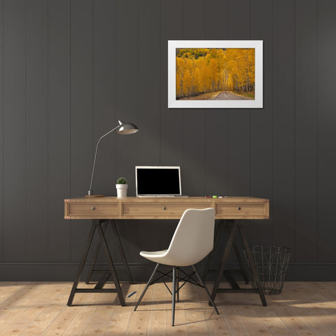 USA-Wyoming-Grand Teton National Park Road through fall aspen trees White Modern Wood Framed Art Print by Jaynes Gallery