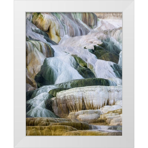 USA- Wyoming- Yellowstone National Park. Mammoth Hot Springs White Modern Wood Framed Art Print by Gulin, Darrell