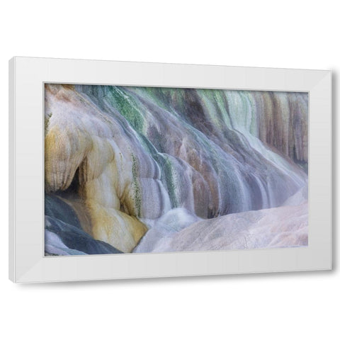USA- Wyoming- Yellowstone National Park. Mammoth Hot Springs White Modern Wood Framed Art Print by Gulin, Darrell