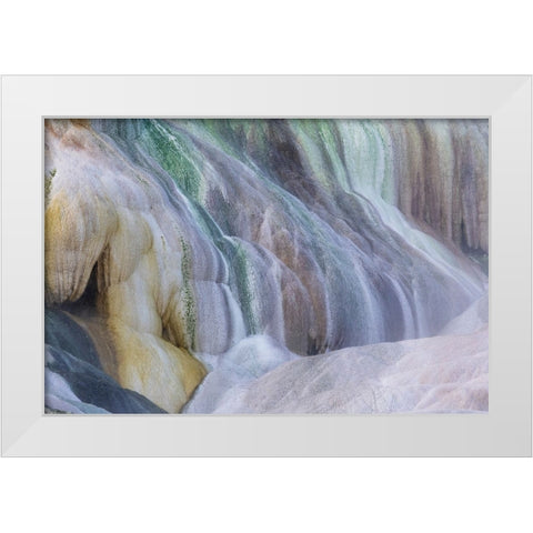 USA- Wyoming- Yellowstone National Park. Mammoth Hot Springs White Modern Wood Framed Art Print by Gulin, Darrell