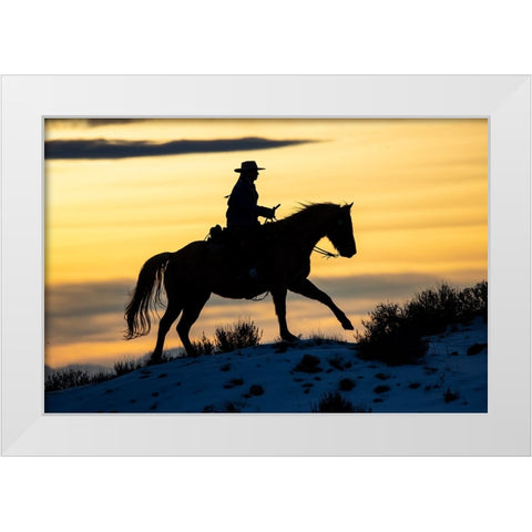 USA- Shell- Wyoming. Hideout Ranch cowgirl silhouetted on horseback at sunset. White Modern Wood Framed Art Print by Gulin, Darrell