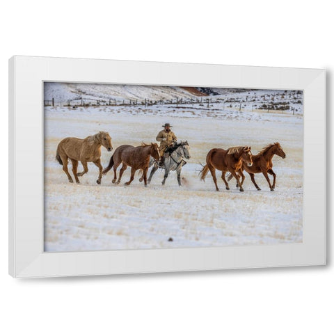 USA- Wyoming. Hideout Horse Ranch- wrangler and horses in snow. White Modern Wood Framed Art Print by Looney, Hollice