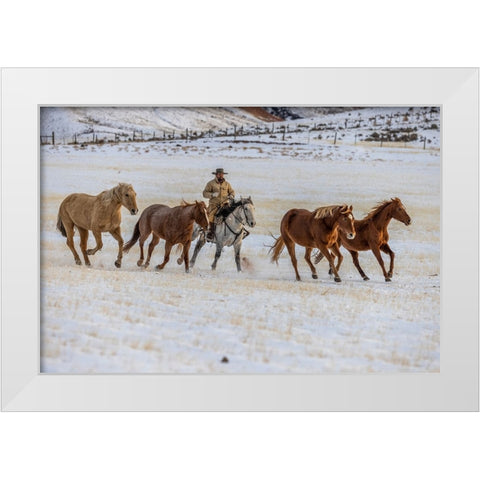 USA- Wyoming. Hideout Horse Ranch- wrangler and horses in snow. White Modern Wood Framed Art Print by Looney, Hollice