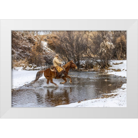 USA- Wyoming. Hideout Horse Ranch- wrangler crossing the stream on horseback. White Modern Wood Framed Art Print by Looney, Hollice