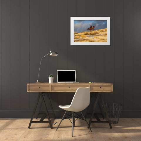 USA- Wyoming. Hideout Horse Ranch- wrangler on horseback in snow. White Modern Wood Framed Art Print by Looney, Hollice