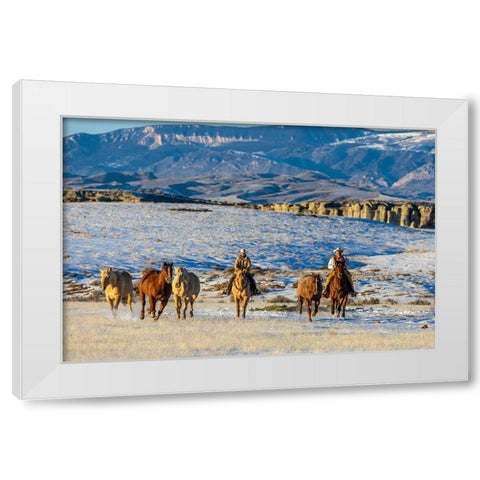 USA- Wyoming. Hideout Horse Ranch- wranglers and horses. White Modern Wood Framed Art Print by Looney, Hollice