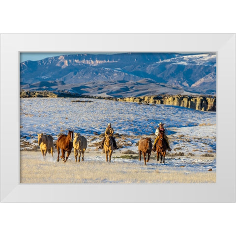USA- Wyoming. Hideout Horse Ranch- wranglers and horses. White Modern Wood Framed Art Print by Looney, Hollice