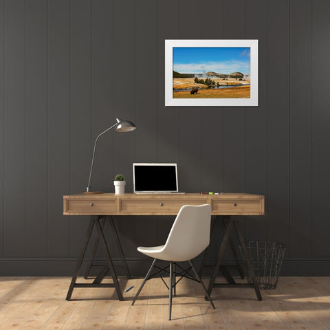 Yellowstone National Park-USA-Bison-buffalo-Steam-Old Faithful-Yellowstone River White Modern Wood Framed Art Print by Sienda, Jolly