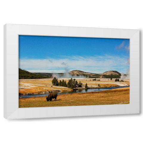Yellowstone National Park-USA-Bison-buffalo-Steam-Old Faithful-Yellowstone River White Modern Wood Framed Art Print by Sienda, Jolly