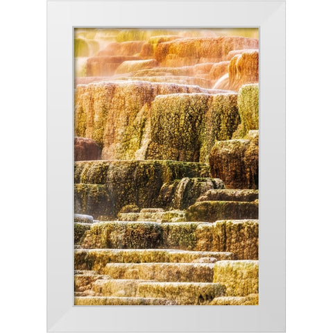 Travertine terraces at Minerva Spring-Mammoth Hot Springs-Yellowstone National Park-Wyoming-USA White Modern Wood Framed Art Print by Bishop, Russ