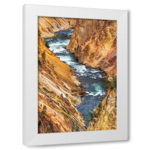 The Yellowstone River in the Grand Canyon of the Yellowstone-Yellowstone National Park-Wyoming-USA White Modern Wood Framed Art Print by Bishop, Russ