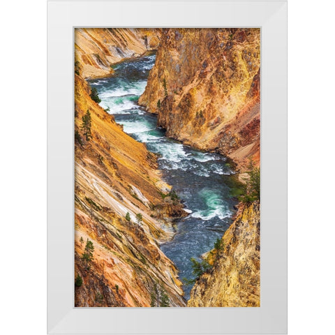 The Yellowstone River in the Grand Canyon of the Yellowstone-Yellowstone National Park-Wyoming-USA White Modern Wood Framed Art Print by Bishop, Russ