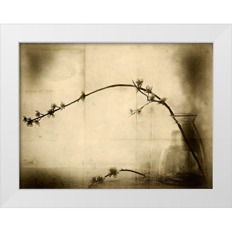Zen White Modern Wood Framed Art Print by Hummel, Jeffrey
