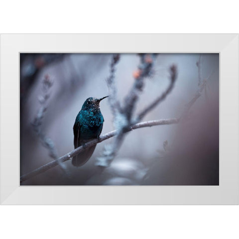 Electrical Blue White Modern Wood Framed Art Print by Bravin, Fabien