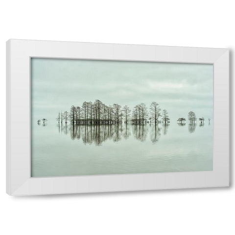 Lake-Shore Lineup Beauty White Modern Wood Framed Art Print by Yu, Liyun