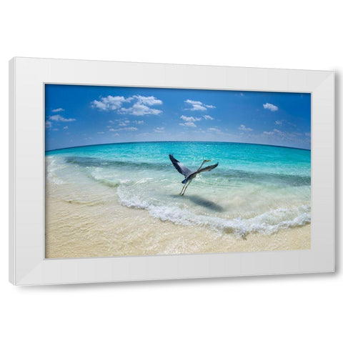 Take-Off White Modern Wood Framed Art Print by Marchegiani, Roberto