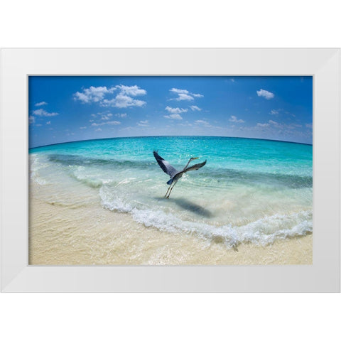 Take-Off White Modern Wood Framed Art Print by Marchegiani, Roberto
