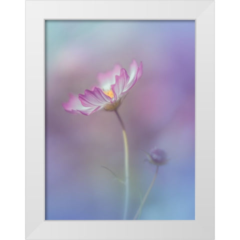 Pink Elegance White Modern Wood Framed Art Print by Koumura, Miyako