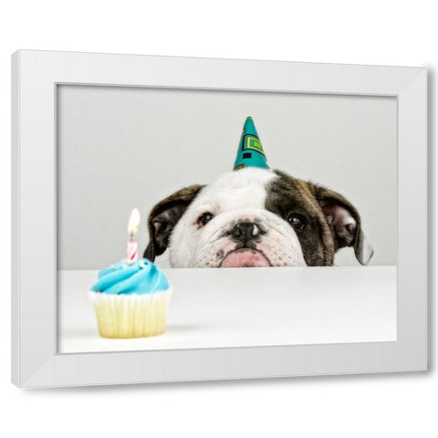 A Little Birthday White Modern Wood Framed Art Print by Melnotte, Mike