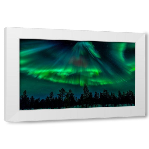 Northern Bell White Modern Wood Framed Art Print by Schwartz, Yair