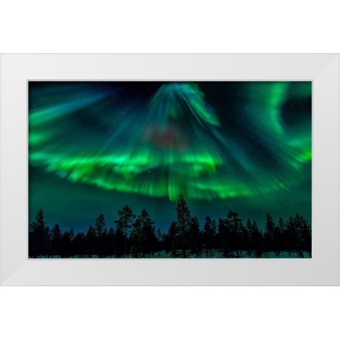 Northern Bell White Modern Wood Framed Art Print by Schwartz, Yair
