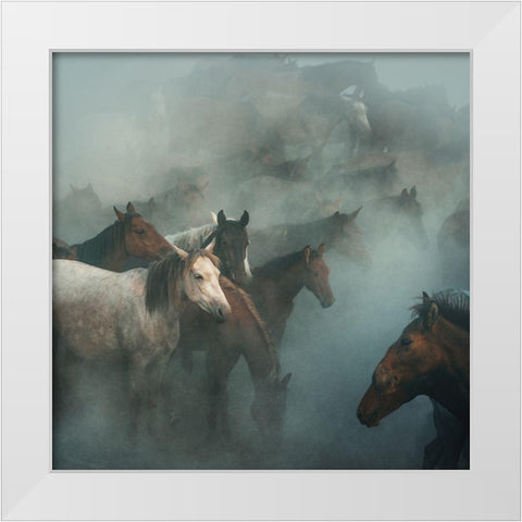 Lost Horses White Modern Wood Framed Art Print by Taskin, Huseyin
