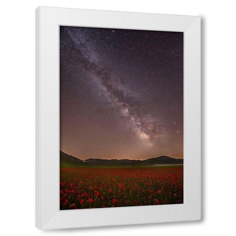 Red Meadows White Modern Wood Framed Art Print by Marchegiani, Roberto