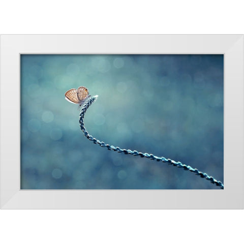 Sendiri Lagi White Modern Wood Framed Art Print by Pamungkas, Edy